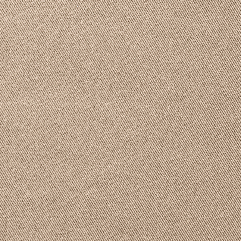 シナモンベージュ BE